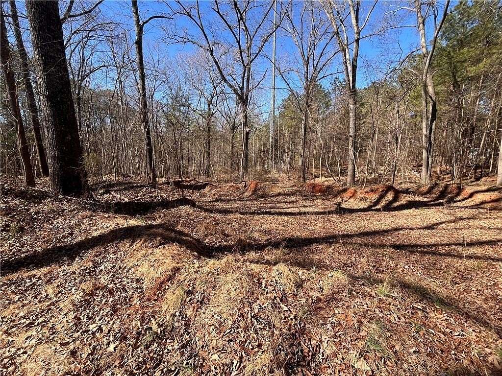 10.7 Acres of Recreational & Residential Land for Sale in Ellenwood, Georgia