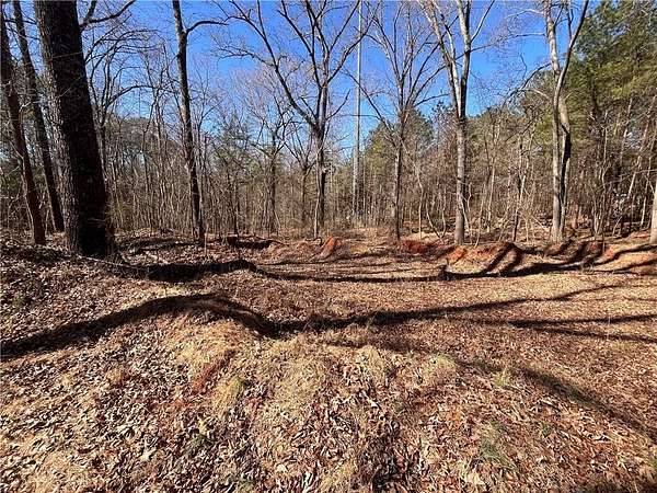 10.7 Acres of Recreational & Residential Land for Sale in Ellenwood, Georgia