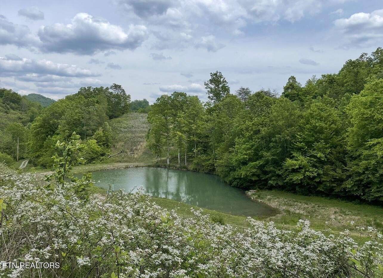 118 Acres of Recreational Land with Home for Sale in Tazewell, Tennessee