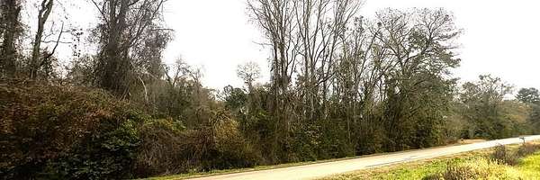 7.1 Acres of Residential Land for Sale in Pavo, Georgia