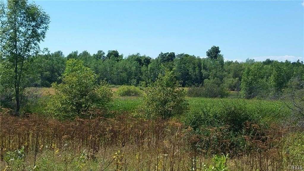 29 Acres of Recreational & Residential Land for Sale in Evans Mills, New York