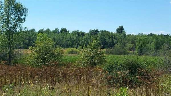 29 Acres of Recreational & Residential Land for Sale in Evans Mills, New York