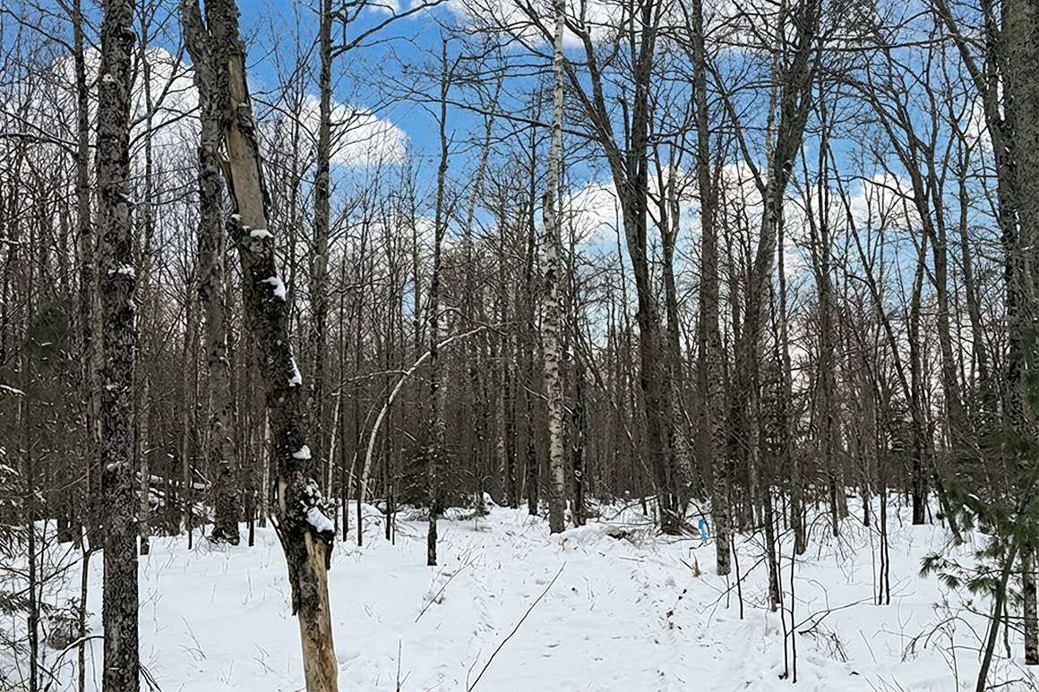2.74 Acres of Land for Sale in Winter, Wisconsin