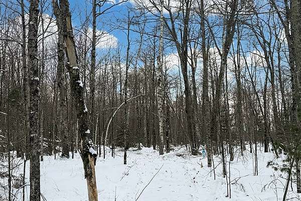 2.74 Acres of Land for Sale in Winter, Wisconsin