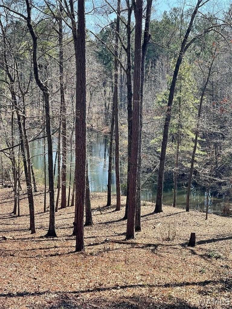 0.03 Acres of Land for Sale in Tuscaloosa, Alabama