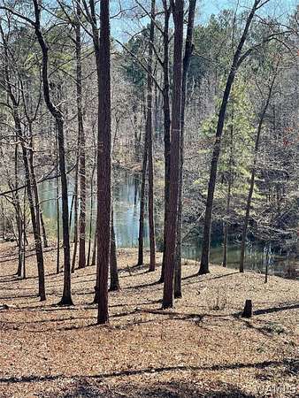 0.03 Acres of Land for Sale in Tuscaloosa, Alabama