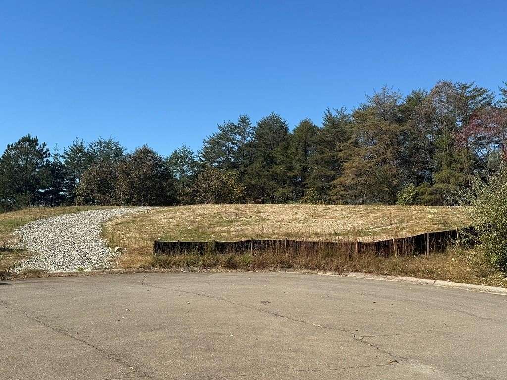 0.74 Acres of Residential Land for Sale in Blue Ridge, Georgia