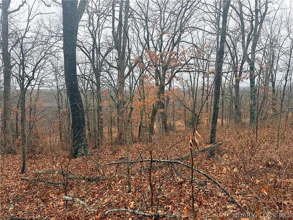 8.4 Acres of Land for Sale in Stover, Missouri