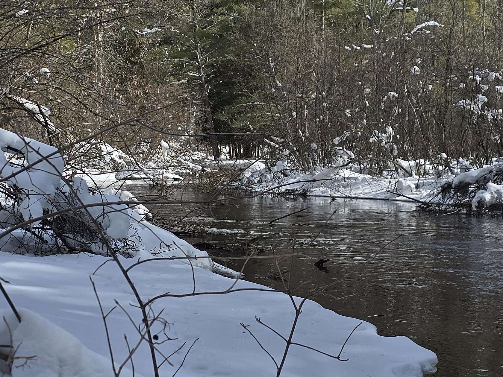 0.69 Acres of Land for Sale in Irons, Michigan