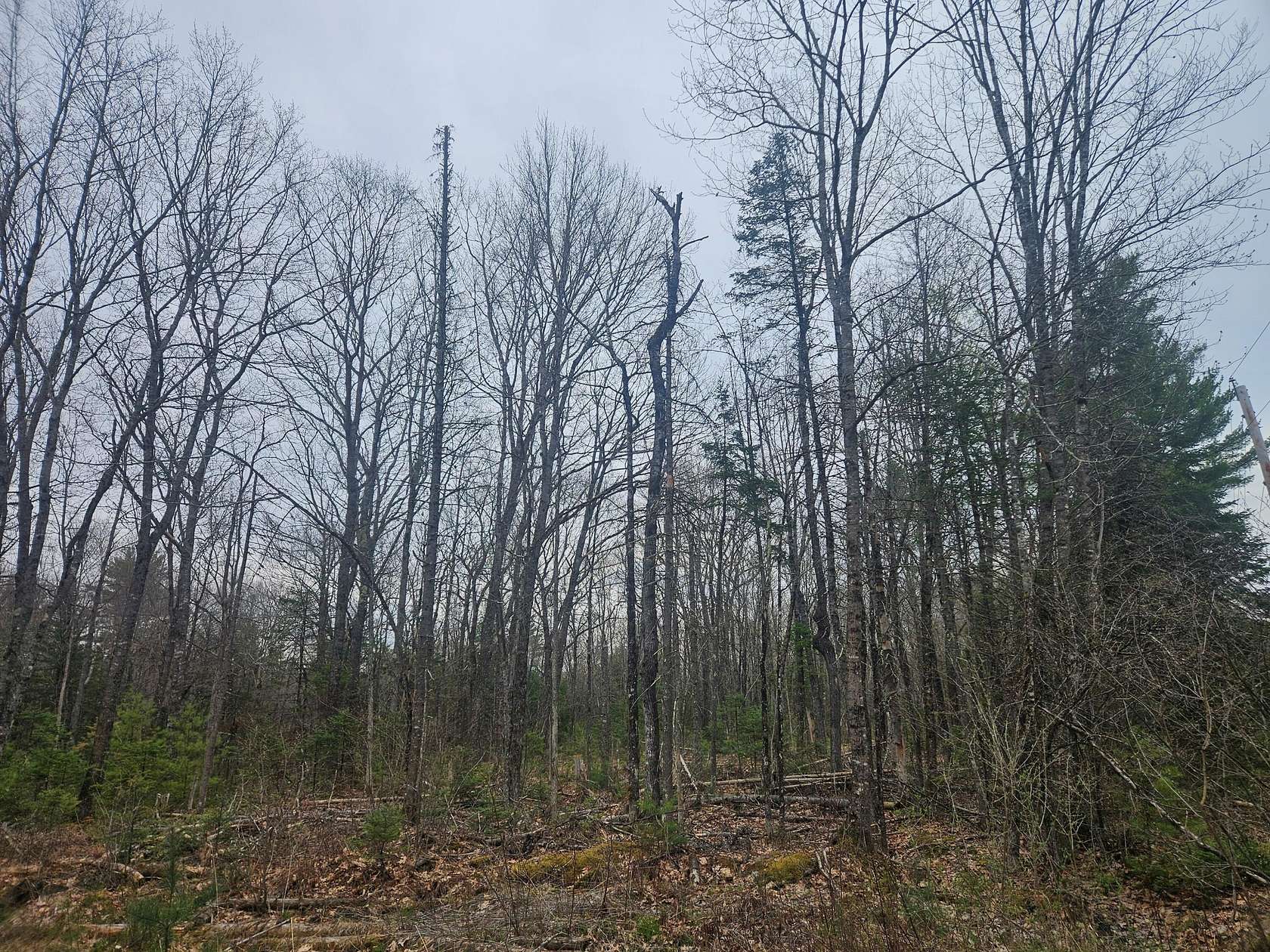 71.9 Acres of Recreational Land for Sale in Burnham, Maine