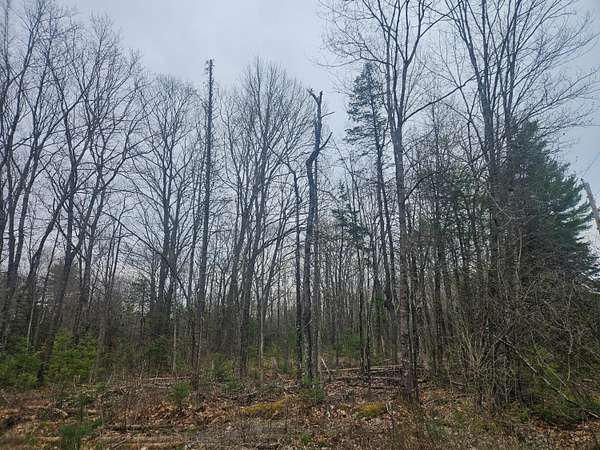 71.9 Acres of Recreational Land for Sale in Burnham, Maine