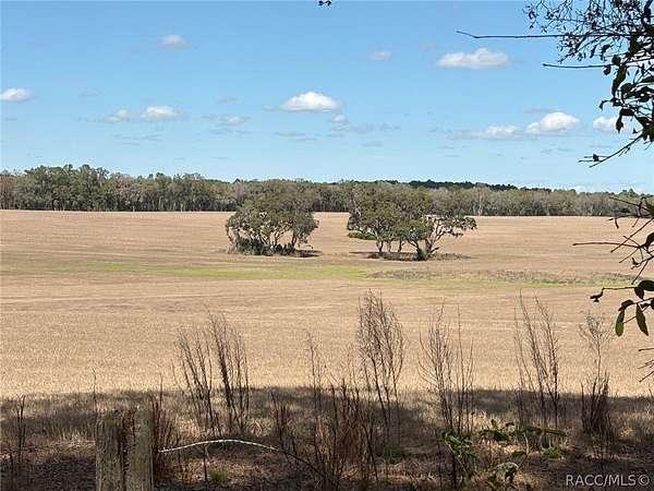 1 Acre of Residential Land for Sale in Dunnellon, Florida