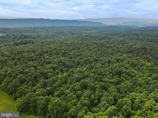 75.3 Acres of Recreational Land for Sale in Hancock, Maryland