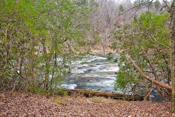 8 Acres of Land for Sale in Ellijay, Georgia