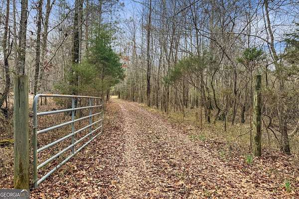 34.6 Acres of Recreational Land for Sale in Meansville, Georgia
