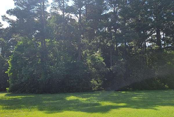 3 Acres of Residential Land for Sale in Accomac, Virginia