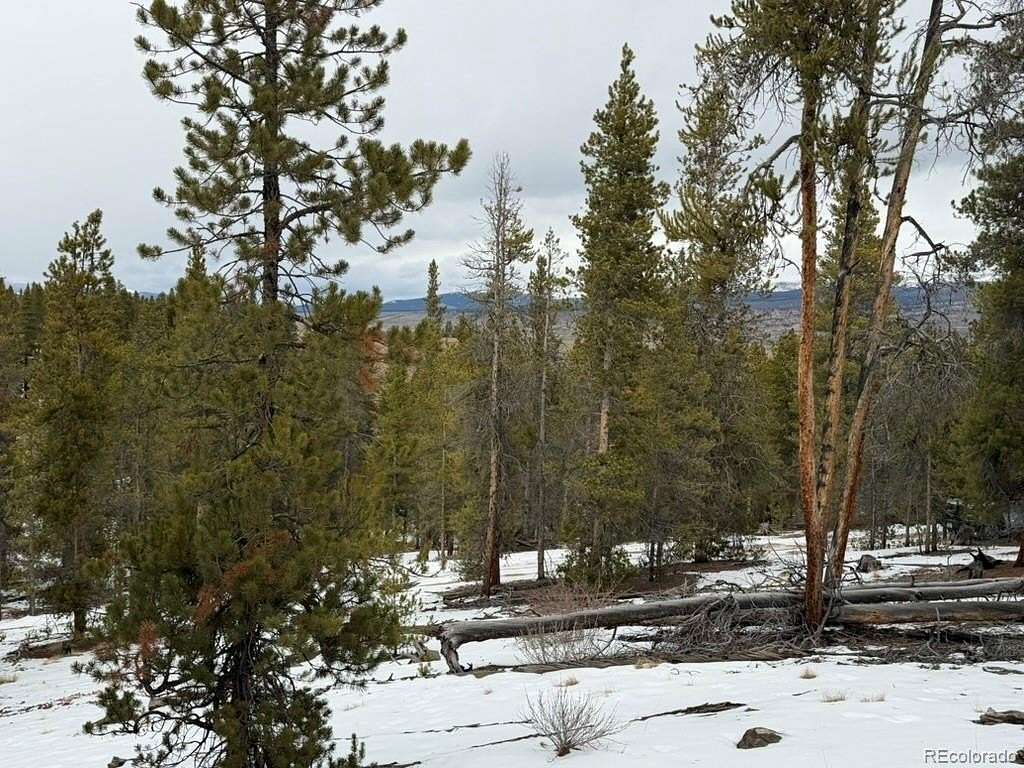 0.9 Acres of Residential Land for Sale in Twin Lakes, Colorado