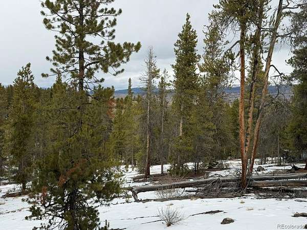 0.9 Acres of Residential Land for Sale in Twin Lakes, Colorado