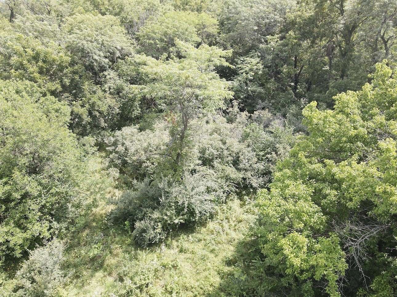 3.62 Acres of Residential Land for Sale in Indianola, Iowa