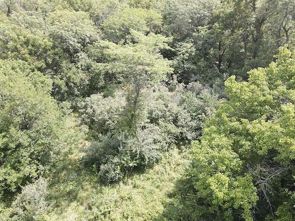 3.62 Acres of Residential Land for Sale in Indianola, Iowa
