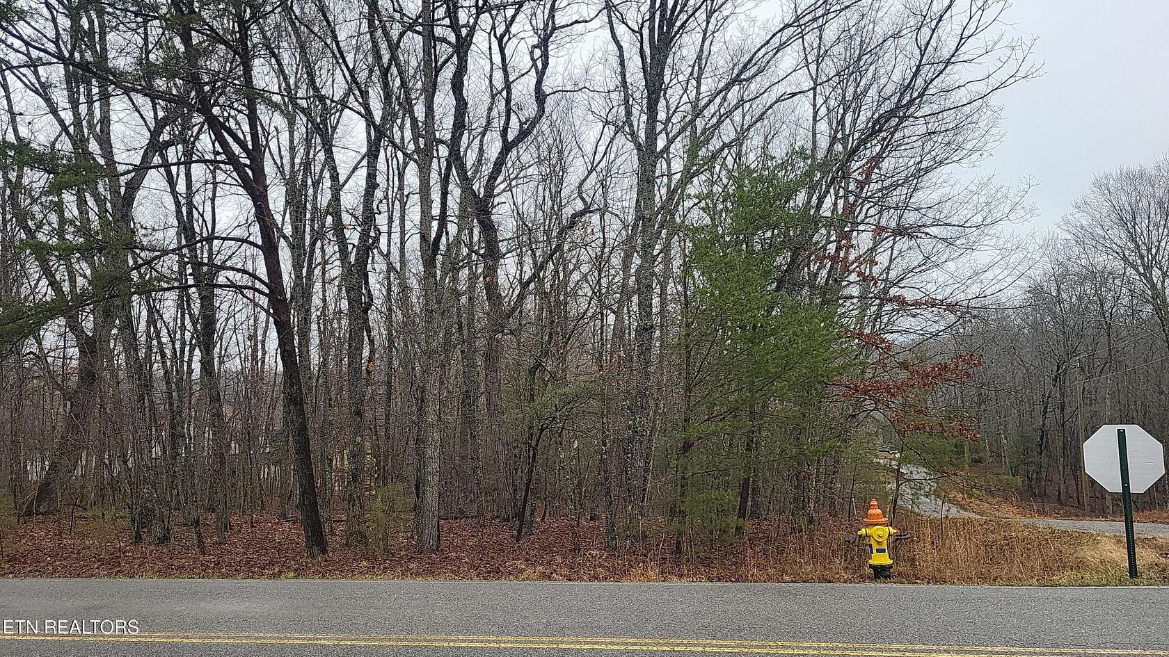 0.22 Acres of Land for Sale in Crossville, Tennessee