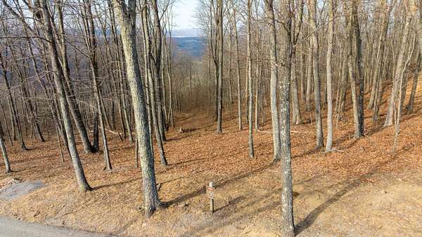 2 Acres of Residential Land for Sale in Caldwell, West Virginia