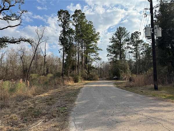 18.1 Acres of Mixed-Use Land for Sale in Springfield, Louisiana