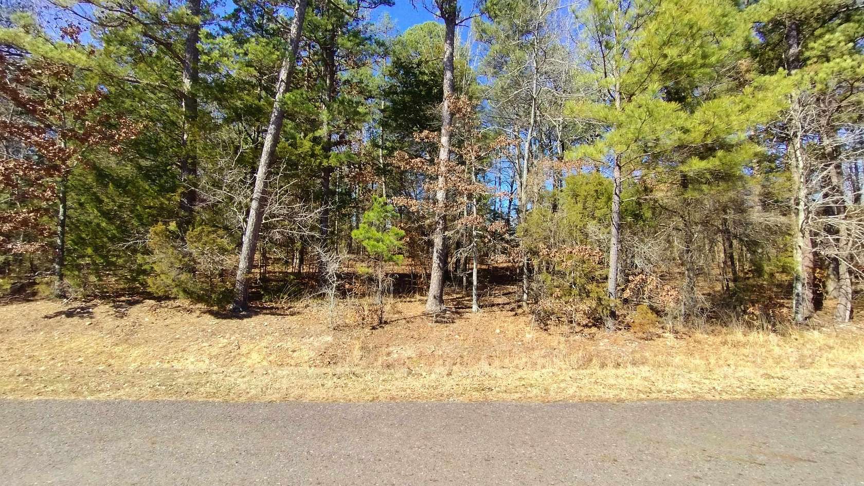 0.33 Acres of Residential Land for Sale in Hot Springs Village, Arkansas