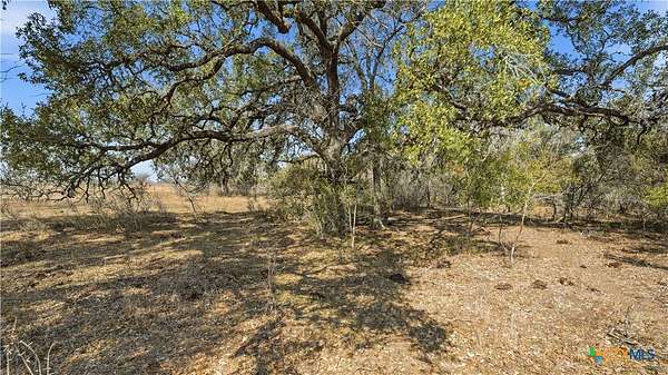 43.7 Acres of Land for Sale in Nordheim, Texas