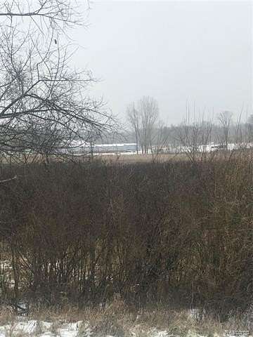 20 Acres of Land for Sale in Putnam Township, Michigan