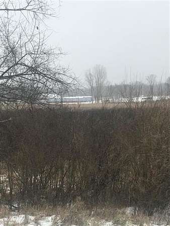 20 Acres of Land for Sale in Putnam Township, Michigan