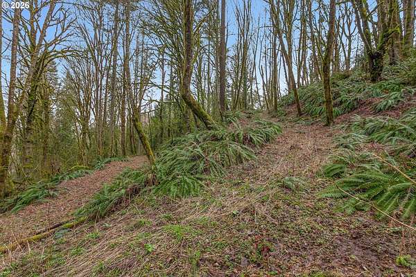5.19 Acres of Land for Auction in Portland, Oregon