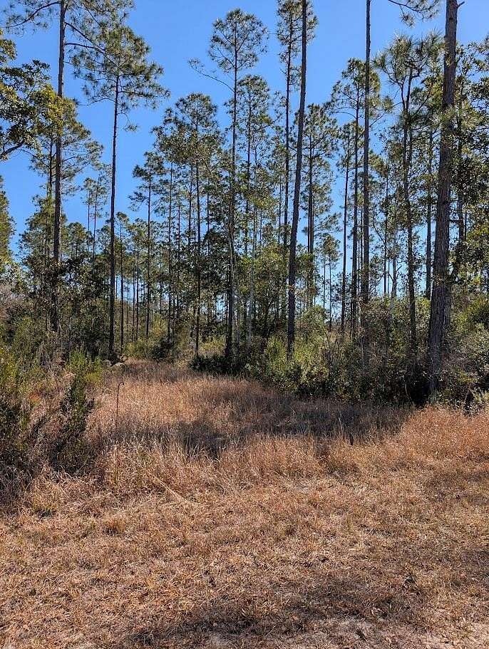 10 Acres of Residential Land for Sale in Carrabelle, Florida