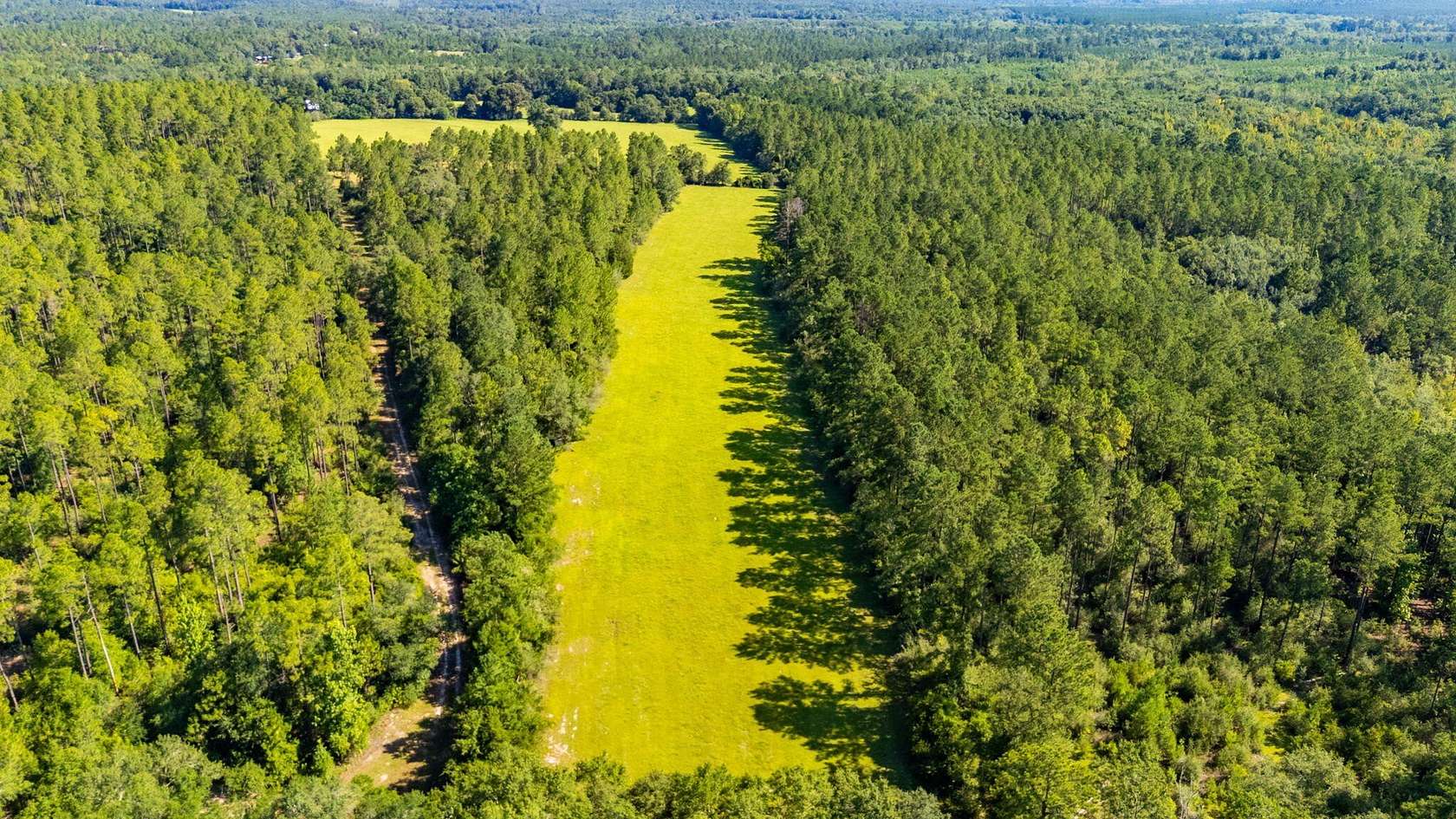 58 Acres of Land for Sale in Westville, Florida
