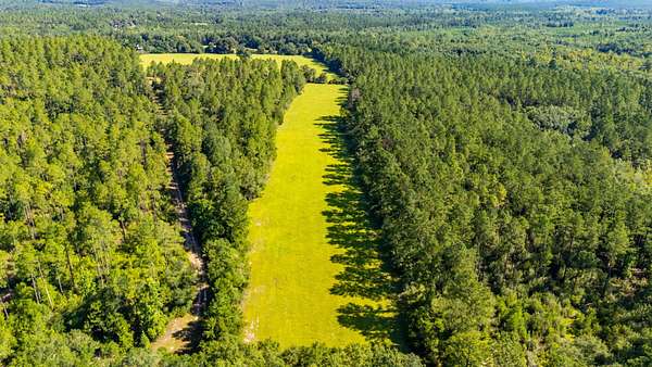 58 Acres of Land for Sale in Westville, Florida