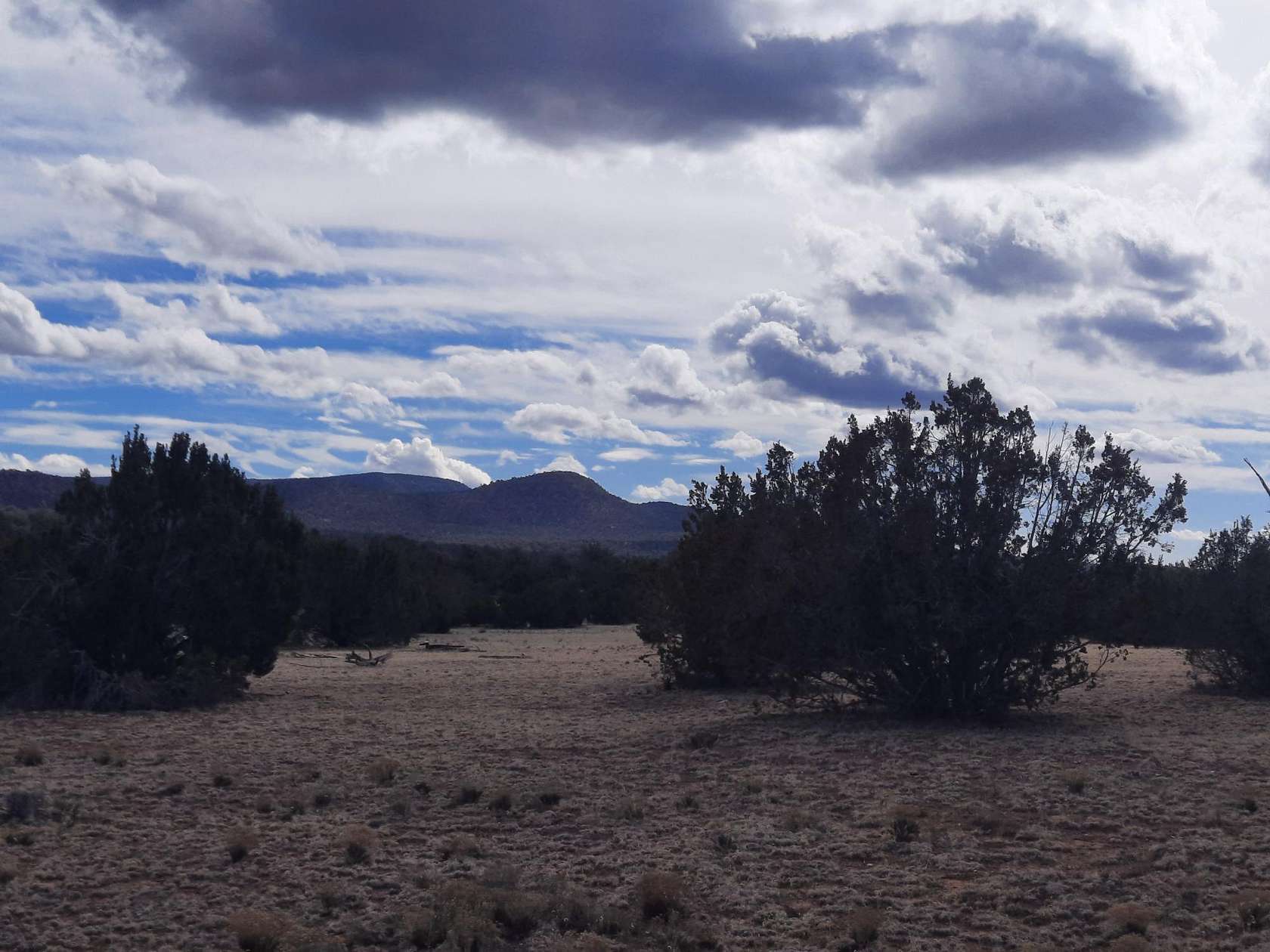 10 Acres of Land for Sale in Seligman, Arizona