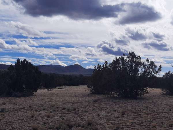 10 Acres of Land for Sale in Seligman, Arizona