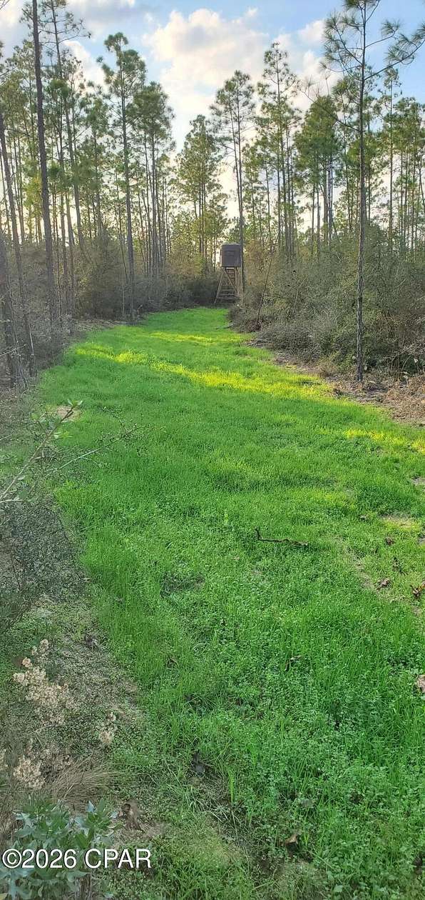 80 Acres of Recreational Land for Sale in Southport, Florida