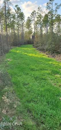 80 Acres of Recreational Land for Sale in Southport, Florida