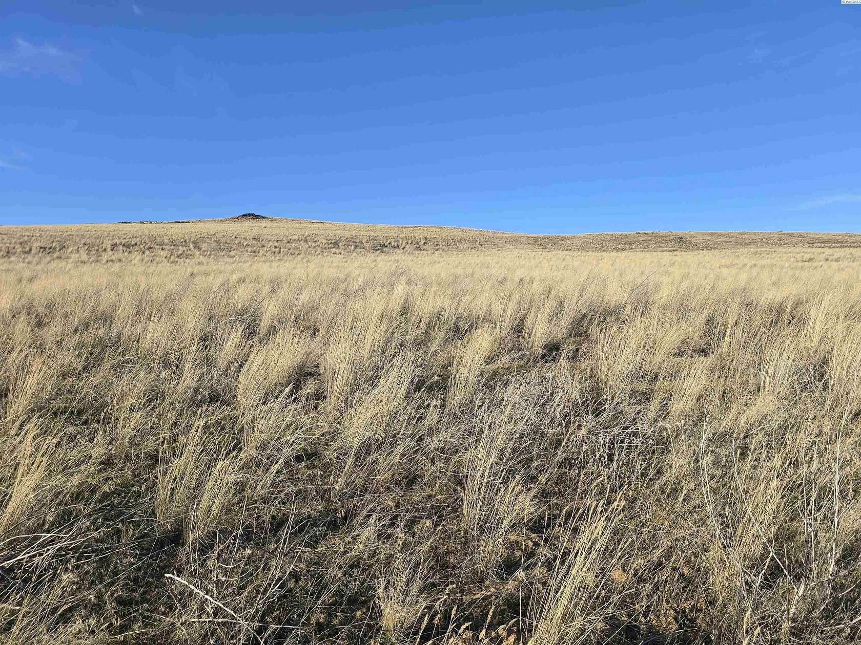 41.7 Acres of Agricultural & Residential Land for Sale in Mabton, Washington