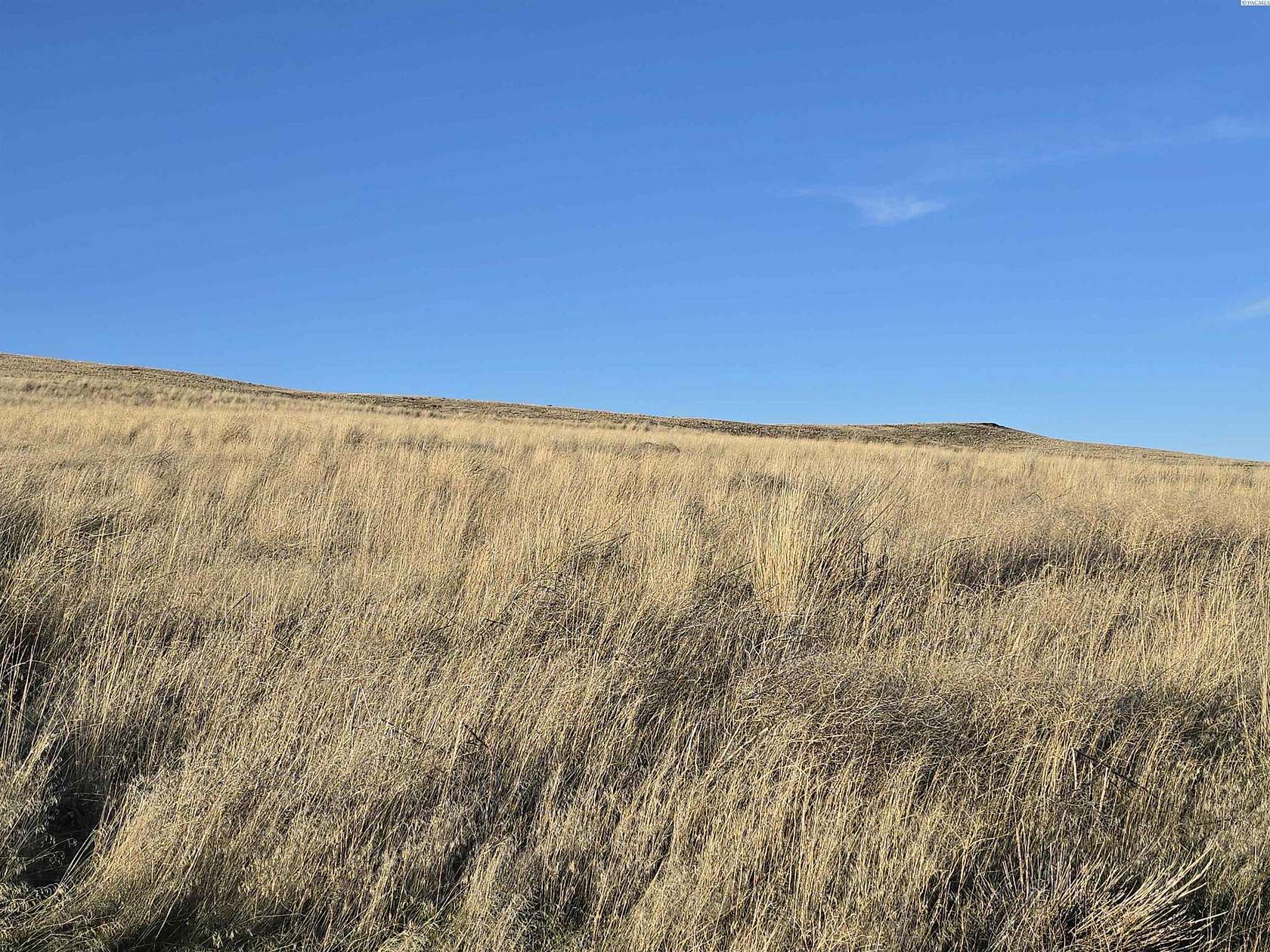 41.7 Acres of Agricultural & Residential Land for Sale in Mabton, Washington