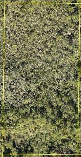 5 Acres of Residential Land for Sale in Clermont, Florida