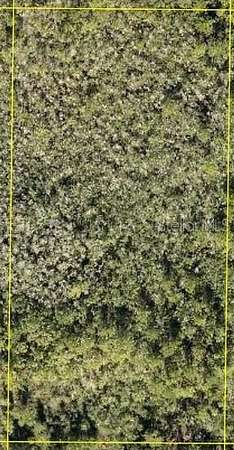 5 Acres of Residential Land for Sale in Clermont, Florida