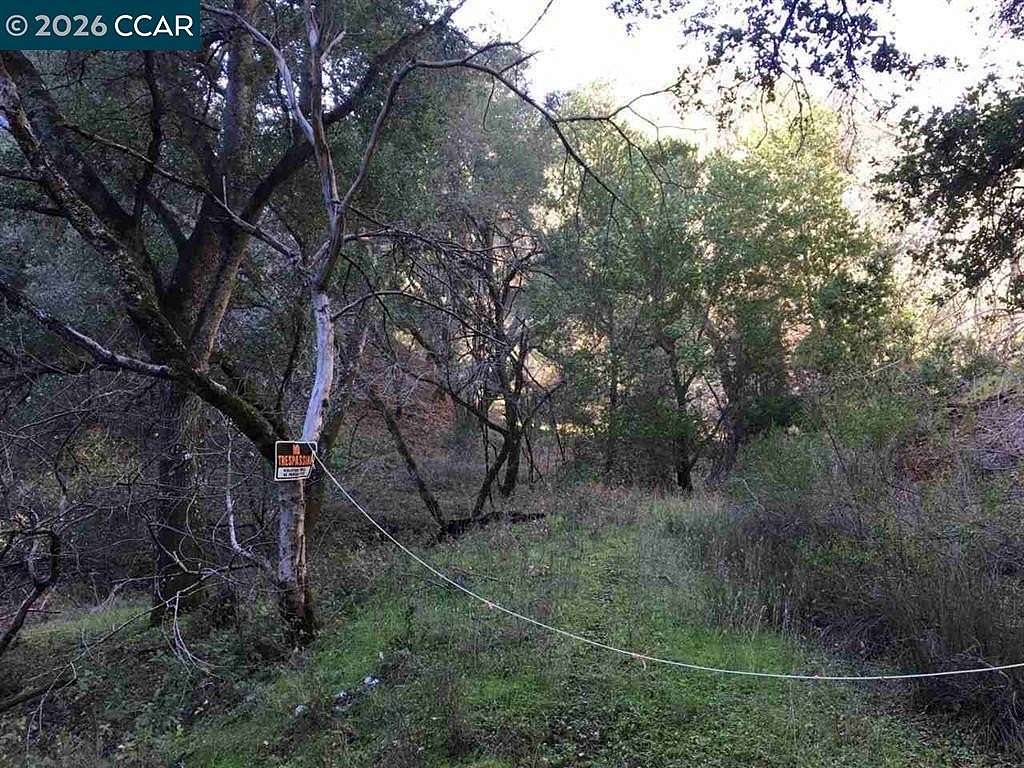 37.4 Acres of Land for Sale in Alamo, California