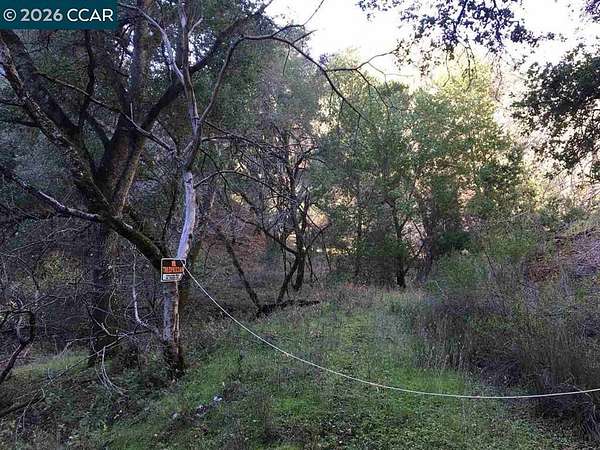 37.4 Acres of Land for Sale in Alamo, California