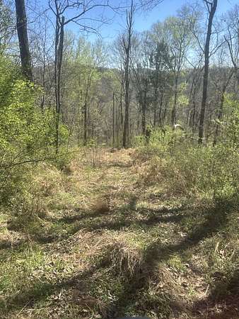34 Acres of Land for Sale in Hartsville, Tennessee