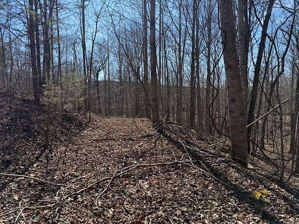 5 Acres of Recreational Land for Sale in South Pittsburg, Tennessee