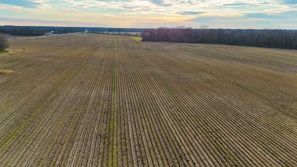 92 Acres of Agricultural Land for Sale in Winnsboro, Louisiana