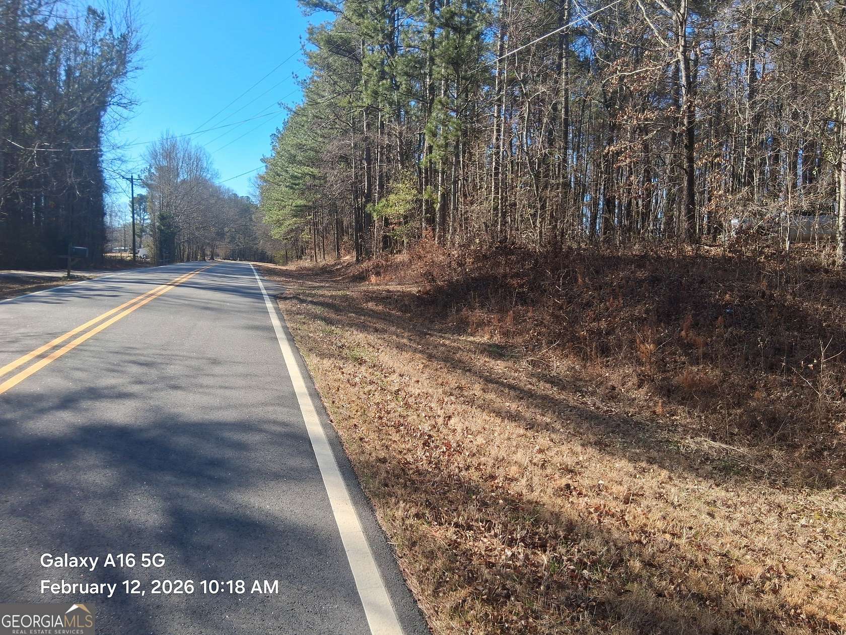 20 Acres of Recreational & Residential Land for Sale in Grantville, Georgia