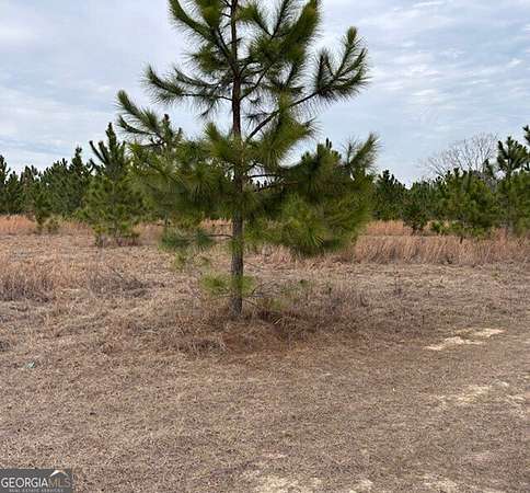 20 Acres of Commercial Land for Sale in Tifton, Georgia